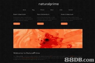 LinkDesign 專業網站設計服務，打造您的線上名片